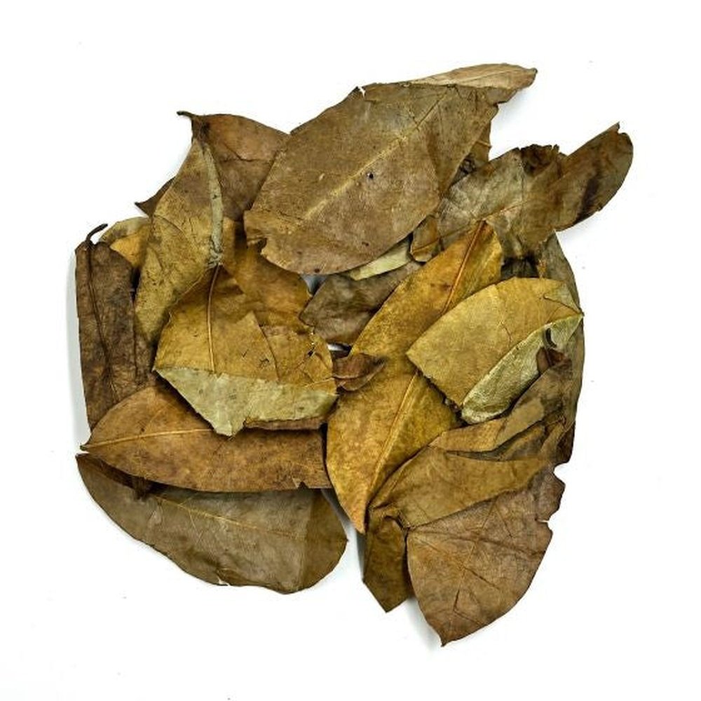 Dried Soursop Leaves Annona Muricata