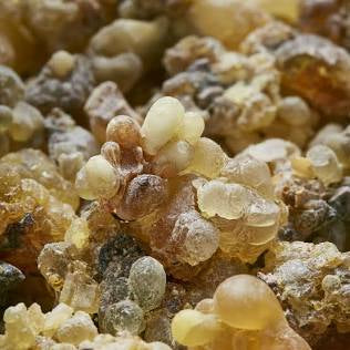 Frankincense Resin Tears